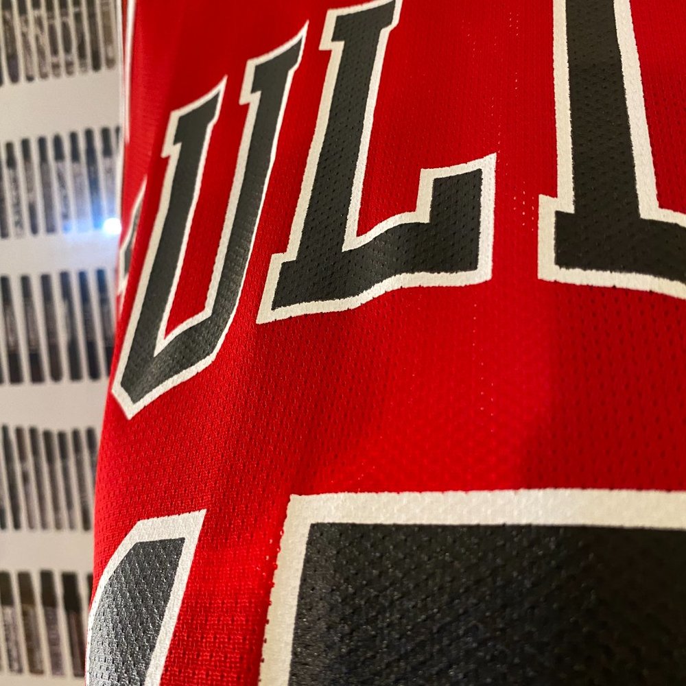 Champion - Chicago Bulls Ron Artest vintage jersey (199) 44 RARE - Picture 6 of 10